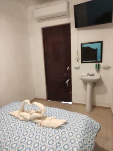 Hostal Hotel Porto 51