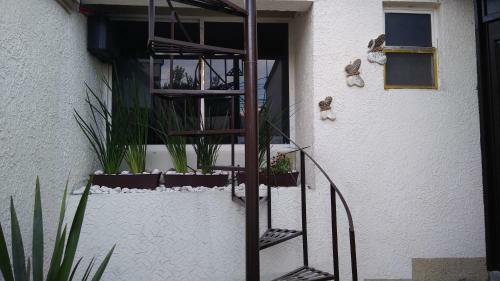 Apartamento Casa Crema