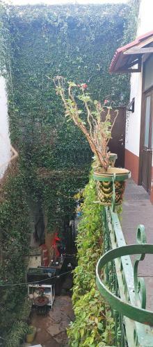 Hotel Don Pedro
