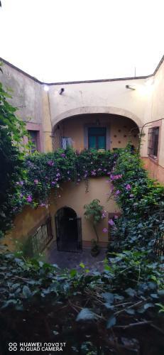 Apartamento Lavanda Centro Hist�rico de Quer�taro