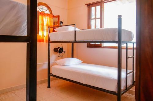 Albergue Casona Puerto Dreams