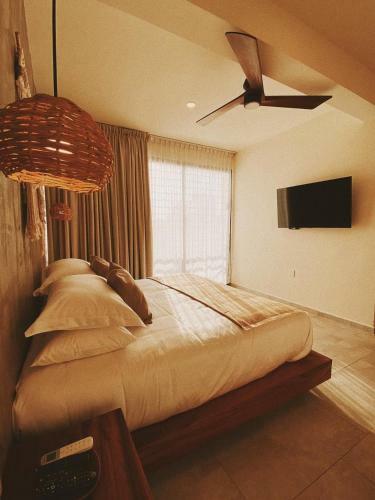 Hotel Casa Bicachi - Adults Only