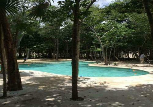 Apartamento 2 Bedroom Condo In Alborada-puerto Morelos