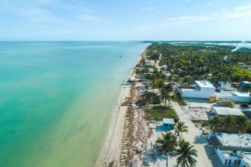 Beachfront Coco Modern Designer House By Peninsula Stays
