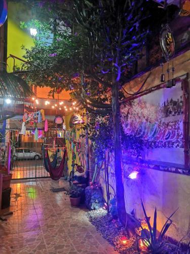 Albergue Hostal Oaxaca Magic