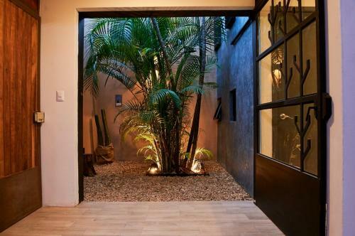 Casa Azul La Noria