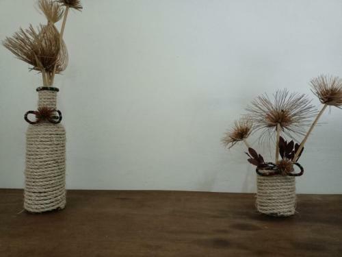 Hostal Eco-hotel Los Petates