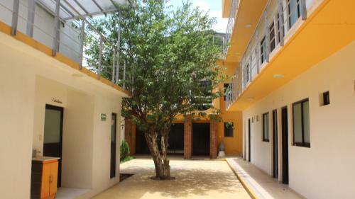 Apartamento Borae
