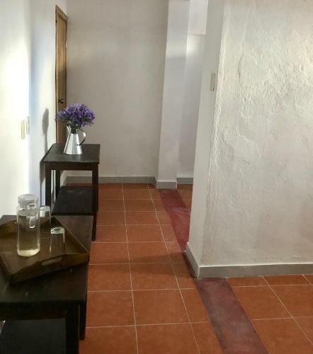 Hotel Pepe Pancho