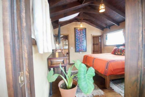 Apartamento Casa Colibr� Suite