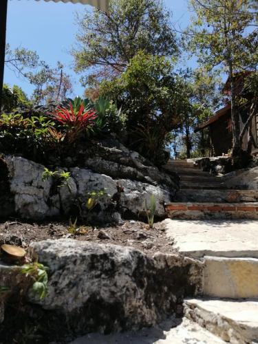 Caba�a Selva Chiapas