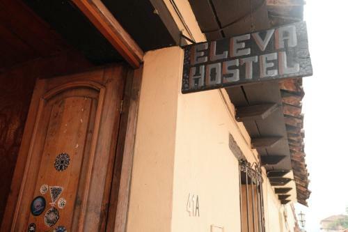 Eleva Vegan Hostel