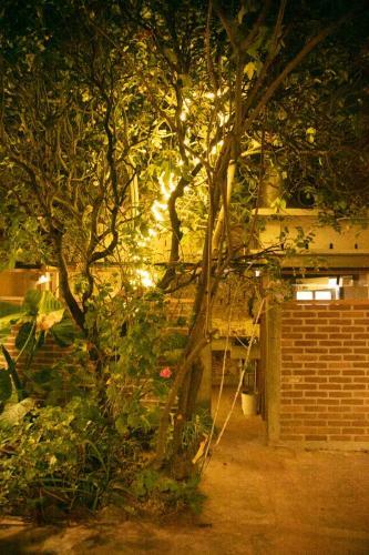 The Coffee Bean Hostel