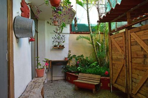 Bed & Breakfast My Local Home Vallarta