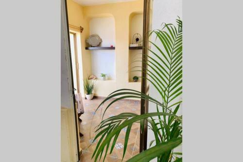 Apartamento Aqua Marine Eco-petfriendly