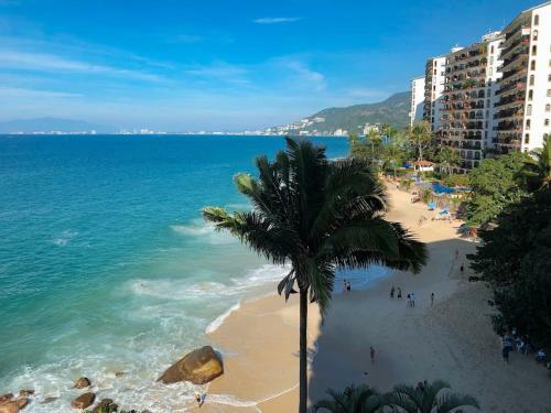 Two Beachfront Apartments In Puerto Vallarta!