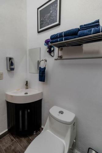 Apartamento Departamento de Lujo Quetzaly