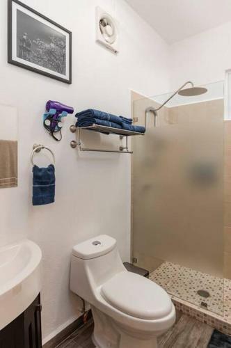 Apartamento Departamento de Lujo Quetzaly