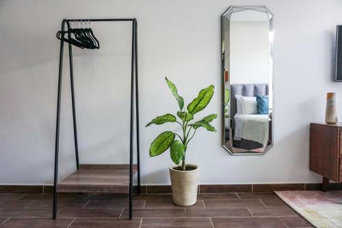 Apartamento Cozy Studio 203 With Wifi & Netflix