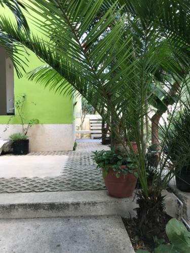 Hostal Villa Mala Escondida