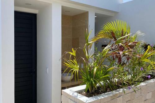 Apartamento Estudio 103 Menesse 38st En Playa Del Carmen