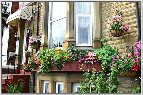 Hostal Belle View