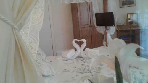 Hostal Knighton Lodge
