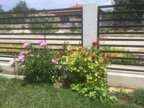 Hostal Karia Apartments