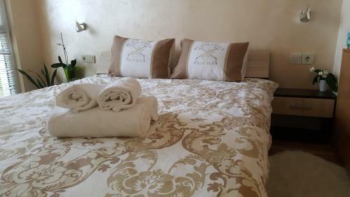 Malavi University Apartment Ruse! Comfort&clean!