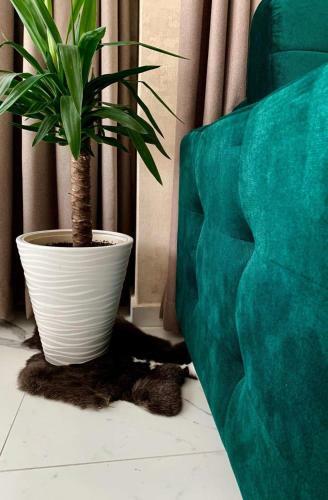 Apartamento Comfort Deluxe Flat