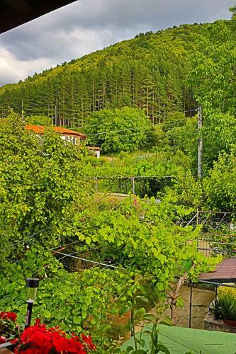 Hostal Green House - ???????????