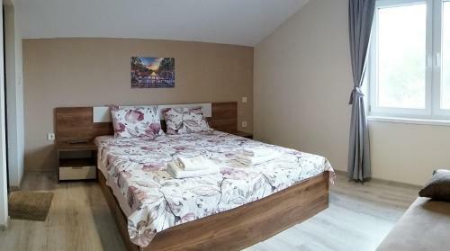Hostal Bubolina House