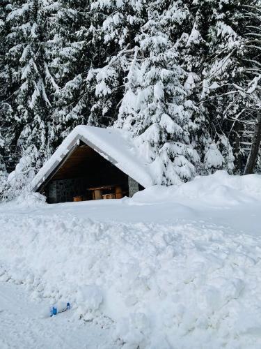 Apartamento Pine Lodge ( ???? ???? )