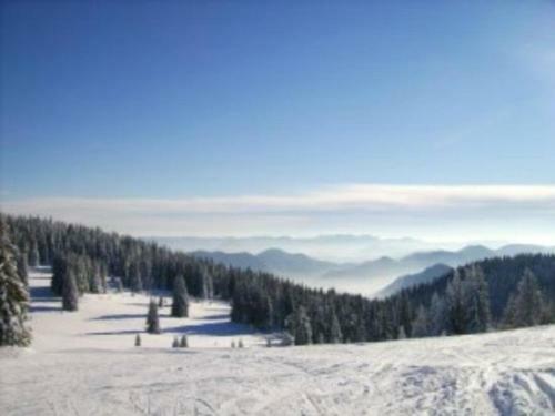 Panorama Apartments, Stoykite