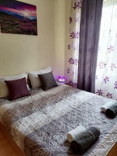 Best Location Apartment