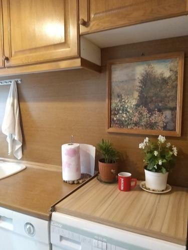 Apartamento Didi House