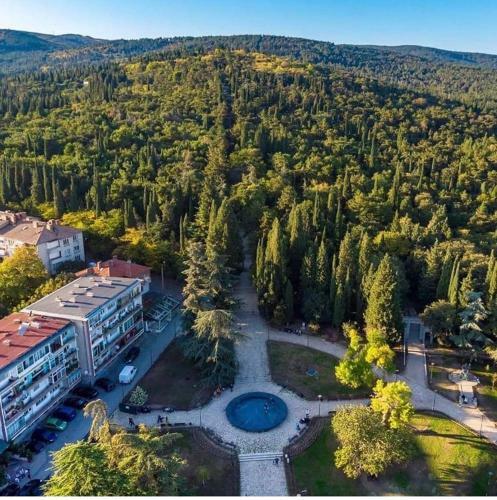 Apartment Avia Forest