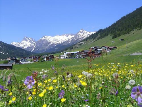 Bed & Breakfast Pension Waldhof
