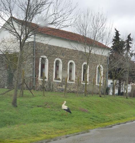 Hostal Velina House