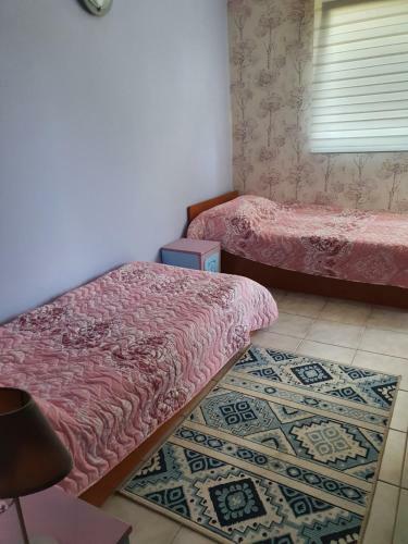 Hostal Velina House