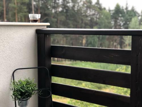 Apartamento Borov Park 2