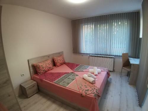 Apartamento ????????? ????