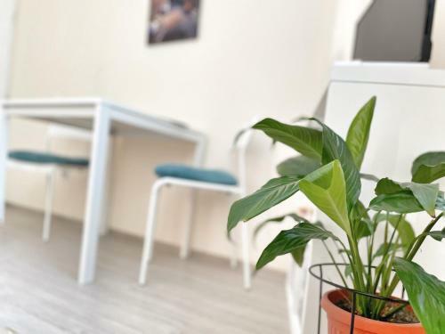 Apartamento @ Home