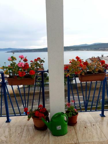 Hostal ???? Quiet Bay
