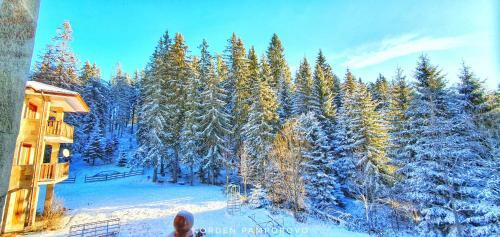 Apartamento Nordenpamporovo