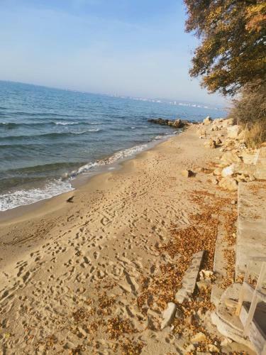 Alex Beach Apartment