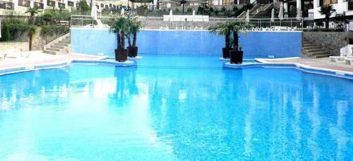 Apartamento Royal Palm