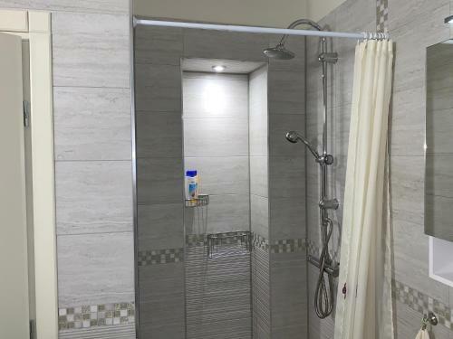 Viitoshka Apartment