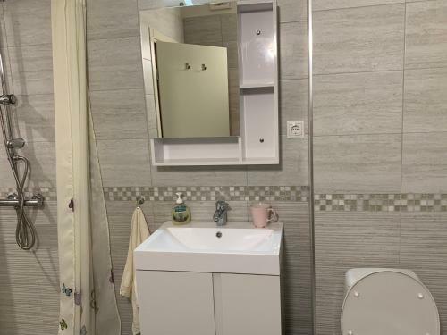 Viitoshka Apartment