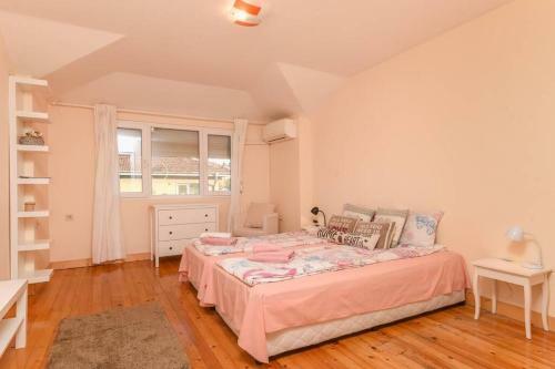 Spacious And Cozy 3 Br Apartment In Downtown Sofia